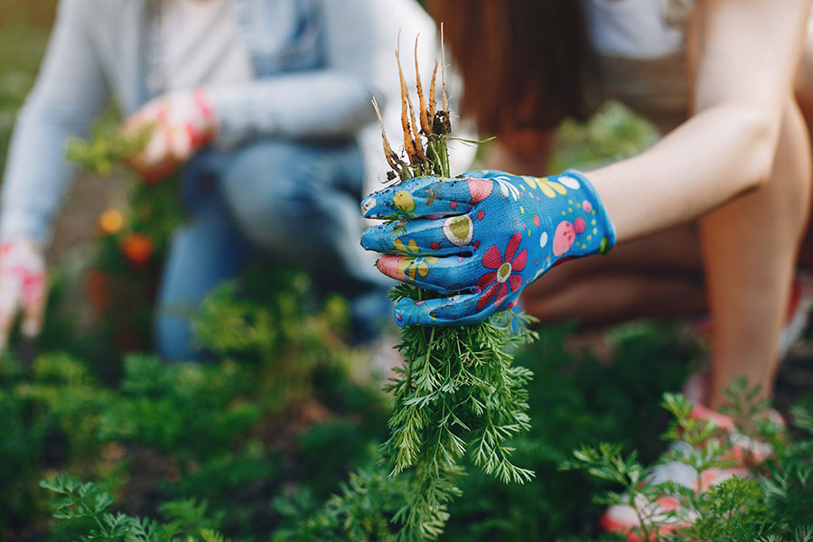 gardening